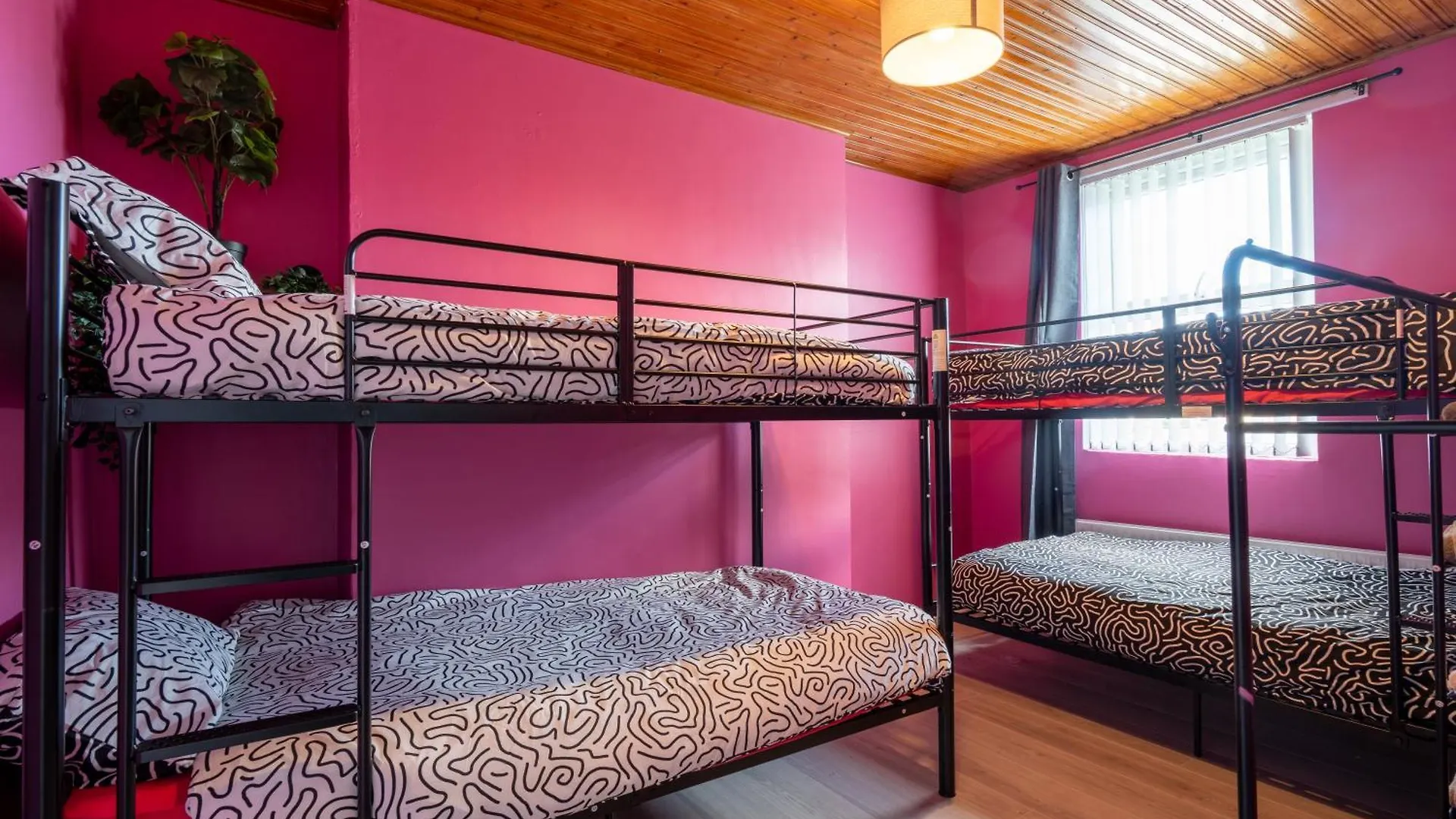 Апартаменты Hen & Stag Hideaway - Huge, Unique And Sleeps 15 Белфаст Великобритания